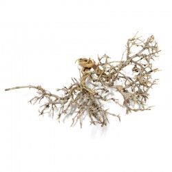 Gałązka Wrzośca 25x11cm - Desert Dry Tree | Naturalna ozdoba pustynnego terrarium