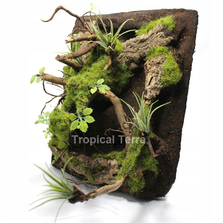 Ścianka tropikalna leśna na wymiar do Terrarium | Tropical Terra